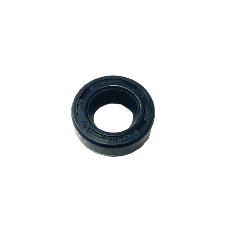 Paraolio interno motoriduttore passapomodoro tritacarne Reber hp 0,30 originale