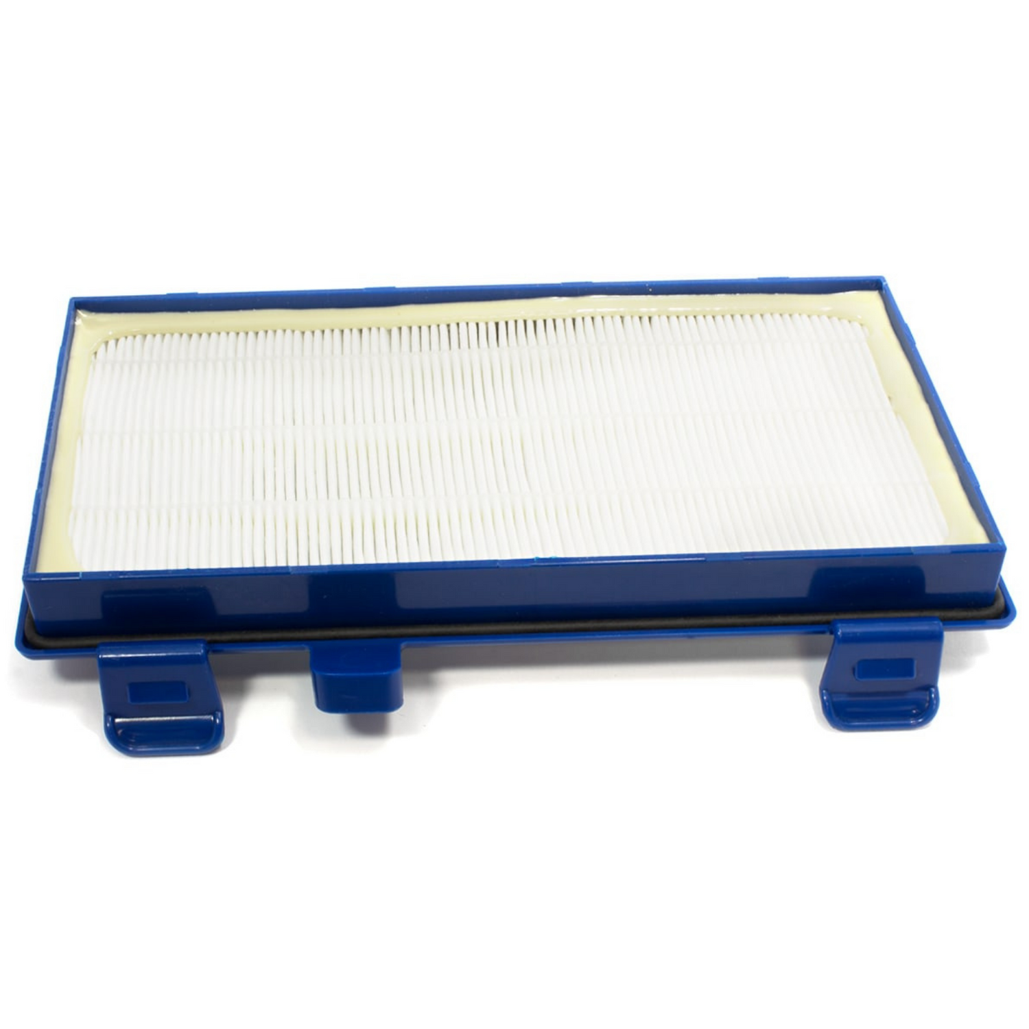 Filtro aspirapolvere hepa Rowenta rs-rt3931 per x-tream power cyclonic