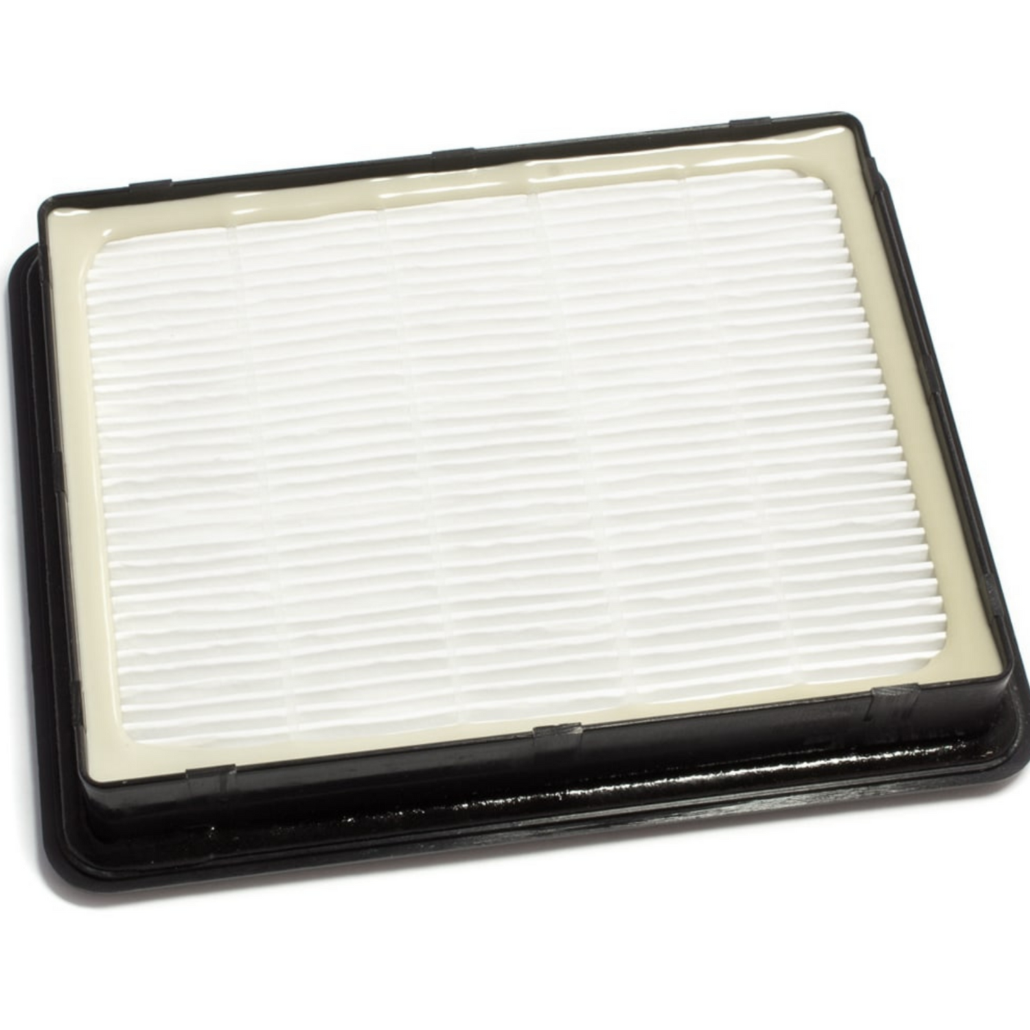 Filtro hepa aspirapolvere zelmer-bosch 795050