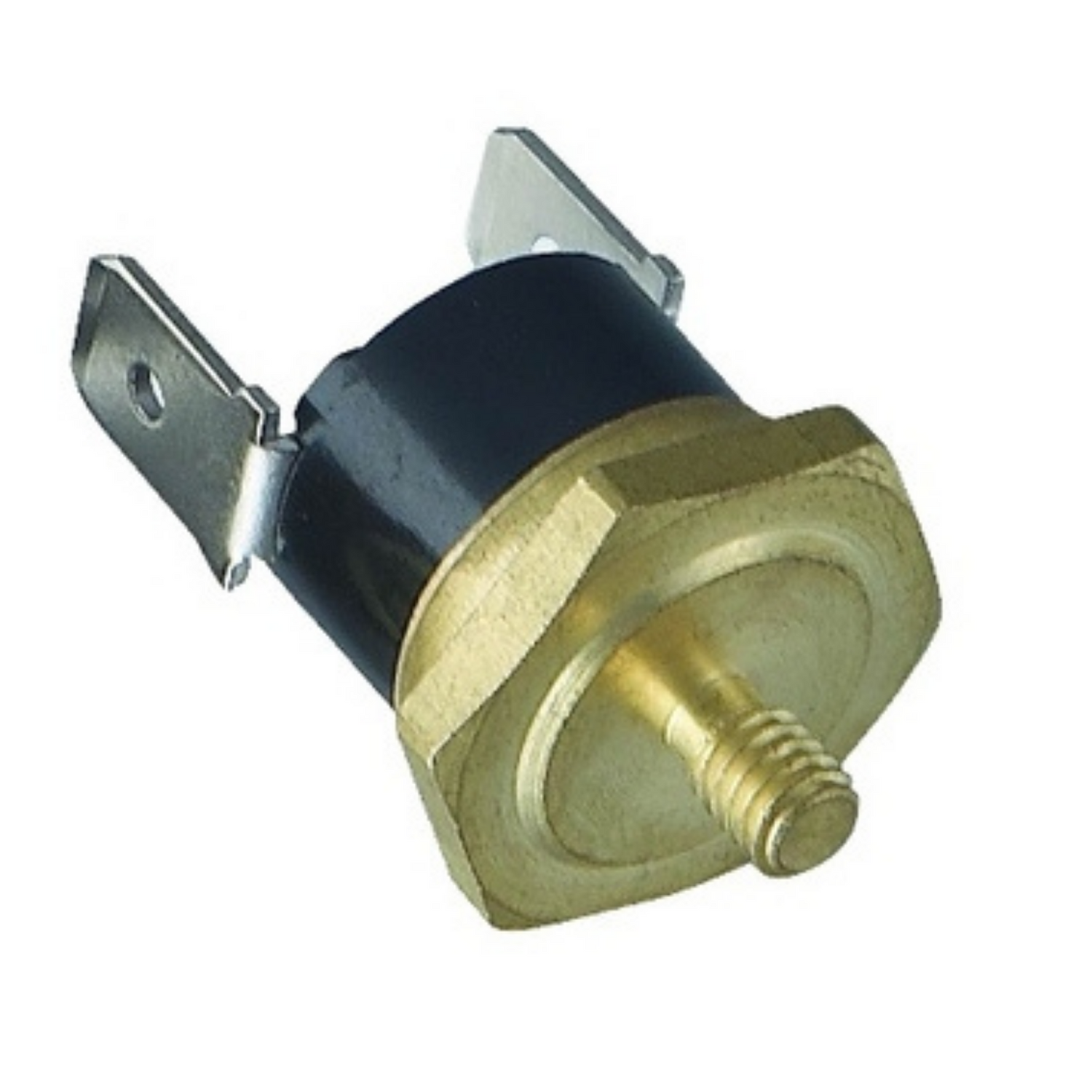 Termostato pilota 95° ricambio originale Didiesse Frog FR019