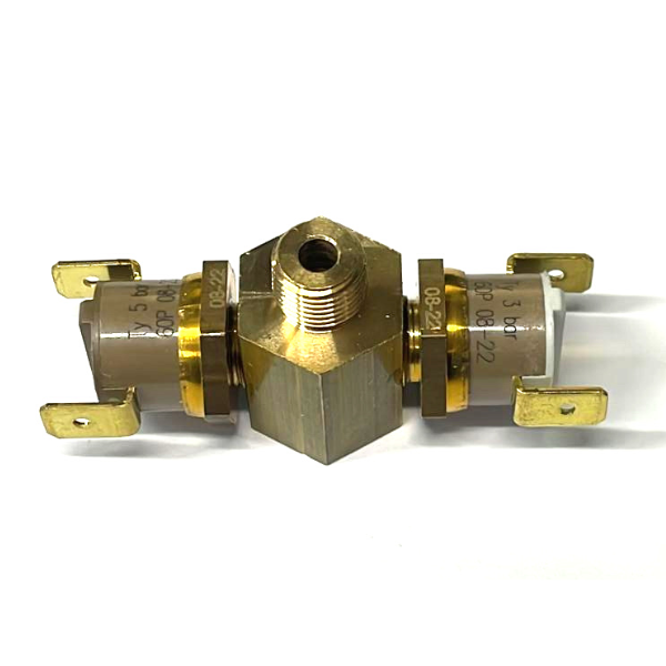 Polti gruppo pressostati ty60/p vaporetto pro 90 pro 95 ricambio originale