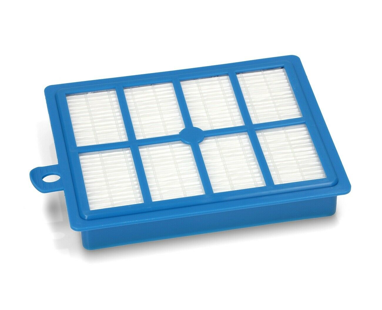 Filtro hepa aspirapolvere Electrolux Aeg Philips
