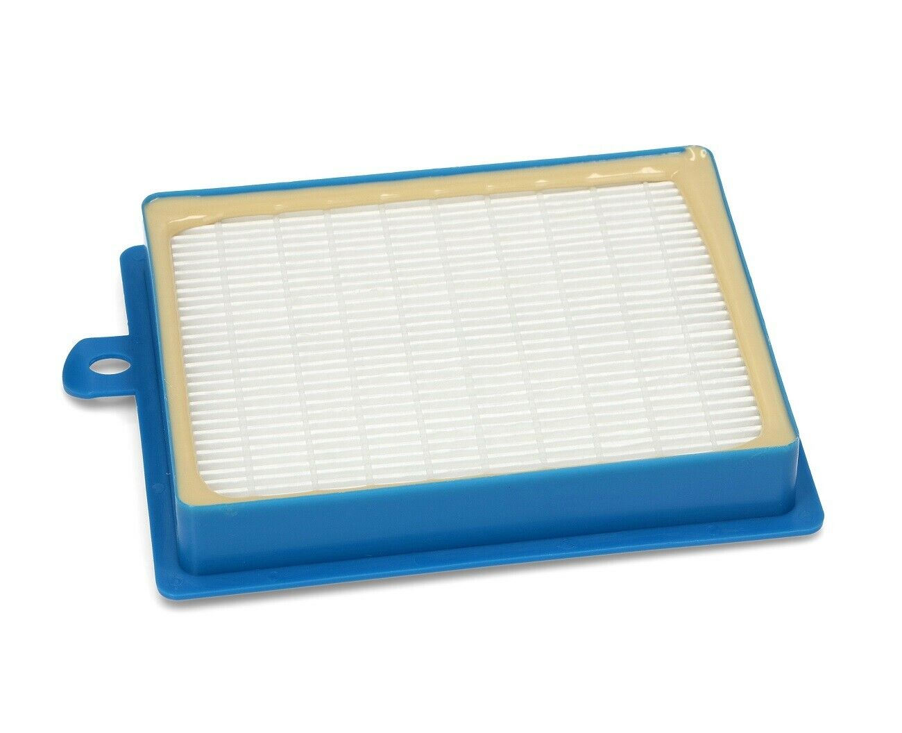 Filtro hepa aspirapolvere Electrolux Aeg Philips