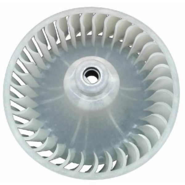 O - 2025-10-30T160722.282